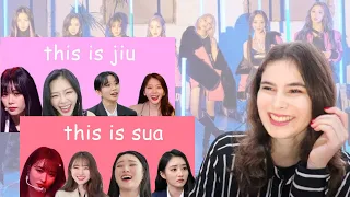 REACTION to 2021 This Is...Series (by insomnicsy) | Part 1 - jiu & sua