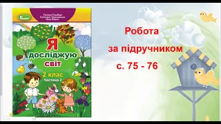 Я досліджую світ, 2 клас Тема  Як птахи зустрічають весну Терещук О А