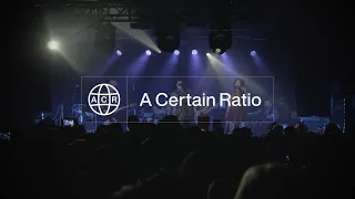 A CERTAIN RATIO - Shack Up (Live 2023)