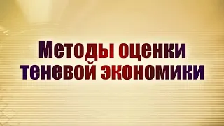 Методы оценки теневой экономики