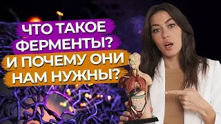 Как определить отсутствие ферментов? / Для чего нужны ферменты?