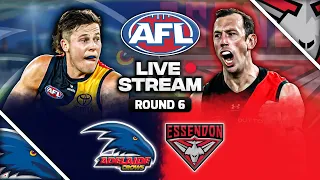 Adelaide vs Essendon | AFL Round 6, 2024 Live Watch Along