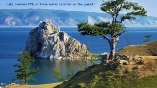 Global Forest Link: Forest Near Lake Baikal Zabaikalsky National Park, Russia