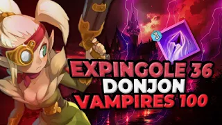 WAVEN - Expingole Solo lvl 36 - Donjon Vampires lvl 100