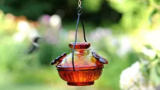 Pot De Creme Hummingbird Feeder - Wind & Weather