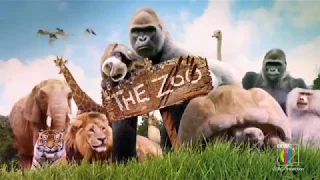 CBBC's 'The Zoo' official trailer