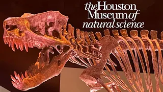 Houston Museum Of Natural Science Tour & Review with The Legend