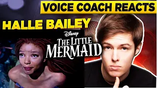 Halle Bailey's voice is heavenly.  Little Mermaid Reaction.