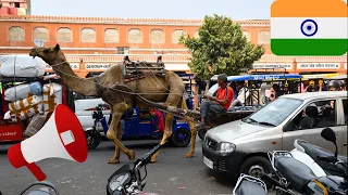 Jaipur traffic video, Rajasthan, Incredible India 🇮🇳 | Date 15-09-2022