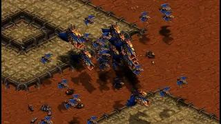 NEW STRAT ON TROY! Action! 🇰🇷 (Z) vs Snow! 🇰🇷 (P) - StarCraft - Brood War Remastered