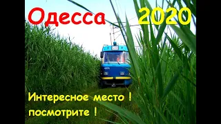 Камышовый трамвай №20  Одесса 2020 #трамвай
