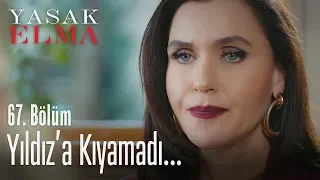 Ender, Yıldız'a kıyamadı - Yasak Elma 67. Bölüm