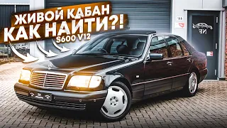 НАЙТИ ЖИВОЙ КАБАН В 2021 ГОДУ - ЭТО РЕАЛЬНО?! (ОБЪЯВЛЕНИЯ - AUTO.RU)