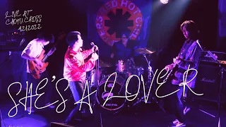 Red Hot Chili Peppers "She's A Lover" Band Cover [Live at Chofu Cross in Tokyo]