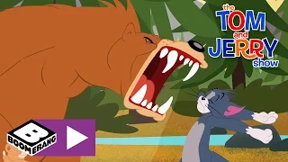 Tom & Jerry | Bear Attack | Boomerang UK