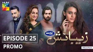 Zebaish | Episode 25 | Promo | Digitally Powered By Master Paints | HUM TV | Drama