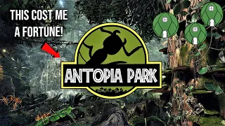 My Plans For Building an 82-Acre Ant Conservation Park | "Antopia Park"