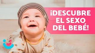 Cómo SABER si es NIÑO o NIÑA 🤰🏻👶🏻 ¡10 Trucos!