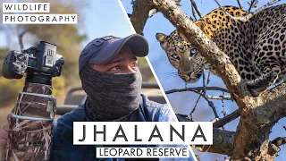Chasing Wild Leopards Isn't Easy | Wildlife Photography in Jhalana Leopard Reserve, Rajasthan