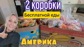 БЕСПЛАТНЫЕ ПРОДУКТЫ В АМЕРИКЕ/ В этот раз столько вкусняшек / Фудбанк/Бесплатка / Жизнь в США / Влог