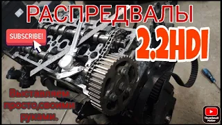 Распредвалы 2.2hdi.Как выставить своими руками.Как проверить звездочки.#распредвалы#2.2hdi