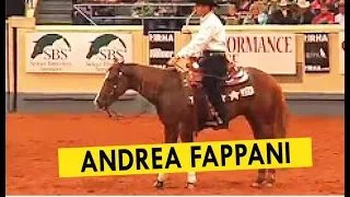 NRHA Futurity 2007 - Andrea Fappani - Best of Finals Rides