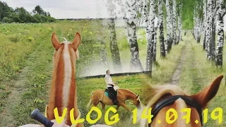 Невообразимые красоты на кордео | Обзериваем новые поля. VLOG 14.07.19