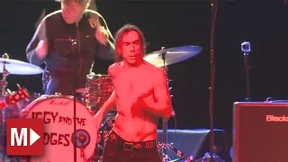 Iggy and the Stooges | Cock In My Pocket | Live in Sydney