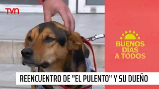 ¡Un final feliz! El emotivo reencuentro entre perro perdido y su dueño | Buenos días a todos