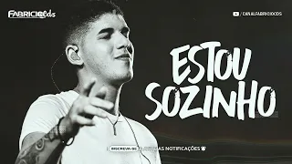 ZÉ VAQUEIRO -ESTOU SOZINHO - ESPECIAL PRA TOMAR UMA