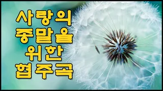 사랑의 종말을 위한 협주곡