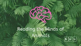 Reading the Minds of Animals