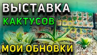 Выставка кактусов и суккулентов. Мои Новые Кактусы. Уход за кактусами.