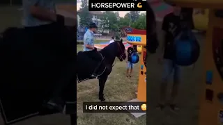 HORSE VS PUNCH MACHINE - who will Win?! 🤔 #shorts #viral #subscribe #fy #goviral #youtubeshorts