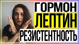 Лептин | Лептинорезистентность | Как похудеть?