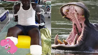 7 Deadliest Hippo Attacks on People in Africa