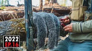 Gray Squirrel LIMIT by Noon! (Hunt Camp Cook Part 2) | 2022 Hunting Season EP.16