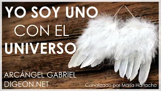 MENSAJE de los ÁNGELES PARA TI DIGEON💌ARCÁNGEL GABRIEL🤍ERES  UNO CON EL UNIVERSO🤍🔴enseñanzas VERTI🔴