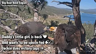 Big Bear🦅Daddy's Little Girl Is Back❤Wants To Be Spoon Fed🐟😋Jackie Does Victory Laps✈️2022-05-31