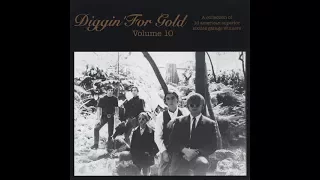 Diggin' For Gold #10 A collection of 16 American superior sixties garage winners