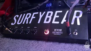 Surfy Bear Metal Analog Spring Reverb Overview