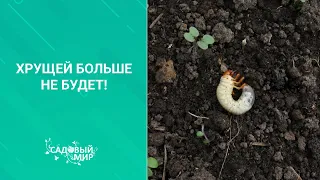 ХРУЩЕЙ БОЛЬШЕ НЕ БУДЕТ!