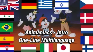 Animaniacs | Intro One-Line Multilanguage