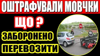 Смертельна помилка: Коли можна сідати за кермо після алкоголю? Жорстока правда, яку вам ховають!