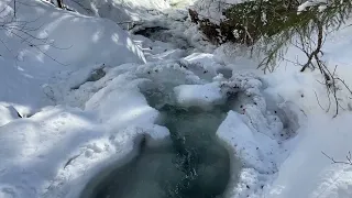 "Пока я спал, все снегом занесло", Слава Гауфберг на стихи Игоря Кураса