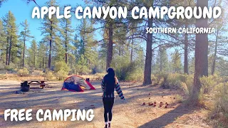 Apple Canyon Campground | San Bernardino National Forest | Free Camping