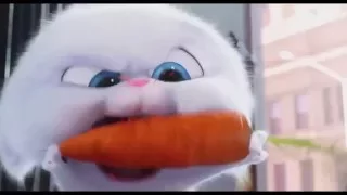 The Secret Life of Pets Official Snowball Trailer 2016 Kevin Hart, Jenny Slate Movie HD 720