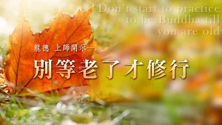 龍德上師：別等老了才修行 Master Lung Du：Don’t start to practice to be Buddha till you are old