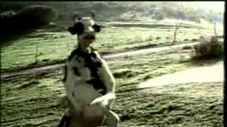 #Funny #Videos - cow matrix