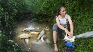 The Skill of Using a Large Capacity Pump Sucks Water Out of Wild Lake To Harvest Fish To sell